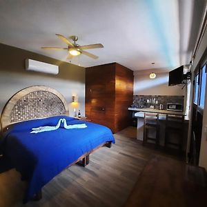 Estudio Deluxe con Cama King